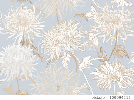 Chrysanthemum decorative flowers  109094313