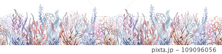 Underwater sea border. Watercolor corals and seashells on isolated background for banner. Flora of the ocean marine nature. Undersea horizontal ornament. Underwater sea border. Watercolor corals and seashells on isolated background for banner. Flora of the ocean marine nature. Undersea horizontal ornament. 109096056