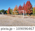 サッカーゴールと紅葉した楓　231125 109096467