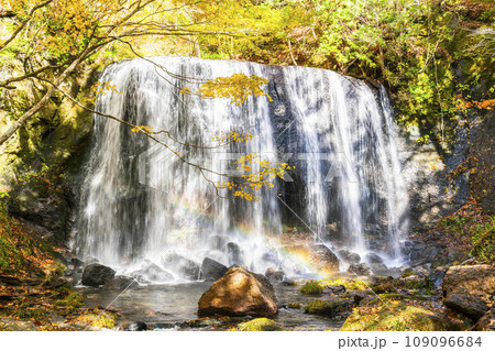 紅葉時期の達沢不動滝 福島県猪苗代町 紅葉時期の達沢不動滝 福島県猪苗代町 109096684
