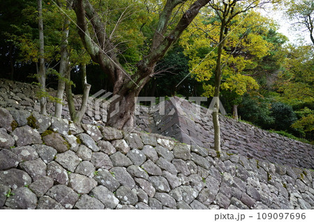 金沢城公園 109097696