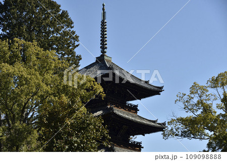 金戒光明寺　文殊塔【重要文化財】 109098888