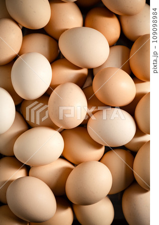 eggs in the package 109098984