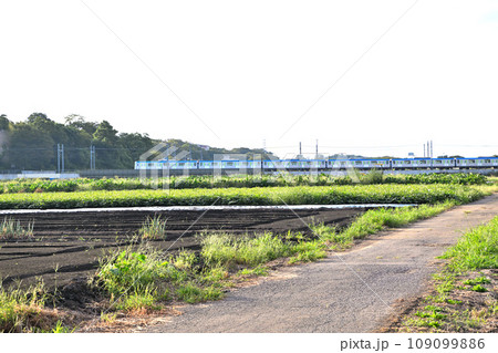東武鉄道　電車通過中　見沼農耕地　さいたま市　 109099886
