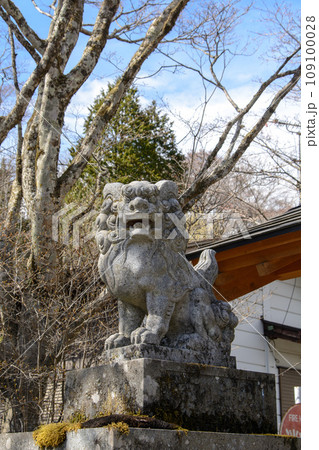神社の狛犬 神社の狛犬 109100028