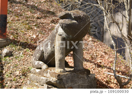 変な狛犬 109100030