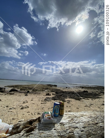 ビールと沖縄料理と海 109100326