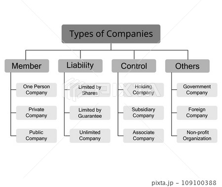 Types of companies or Business Structures divided by members, control, liability and others 109100388