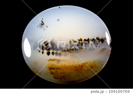 モンタナ・アゲート 風景を宿す石 109100709