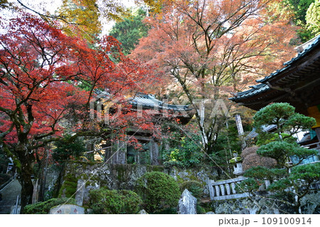 大雄山最乗寺 109100914