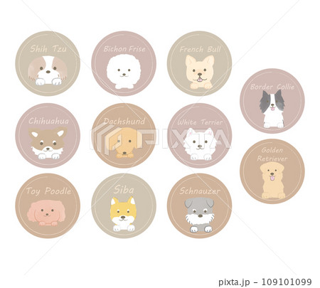 ひょっこり顔をだすかわいい犬の顔のセット 犬種アイコン ひょっこり顔をだすかわいい犬の顔のセット 犬種アイコン 109101099