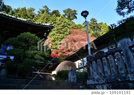 大雄山最乗寺 109101191