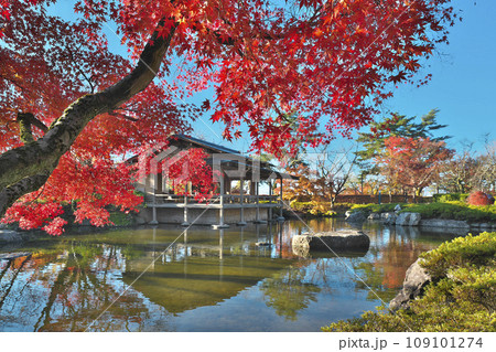 錦秋の西山公園 錦秋の西山公園 109101274