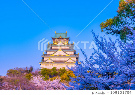 西日に輝く大阪城と桜 西日に輝く大阪城と桜 109101704