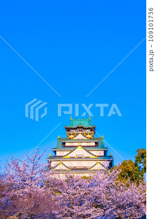 西日に輝く大阪城と桜 西日に輝く大阪城と桜 109101736