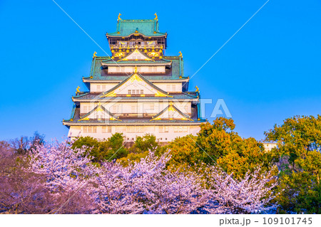 西日に輝く大阪城と桜 西日に輝く大阪城と桜 109101745