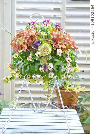植物を植えこんだ壁掛けバスケット 109102564