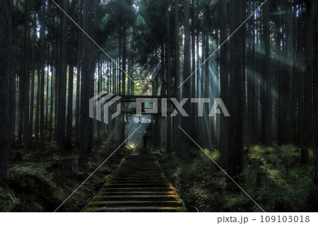賀茂神社　京都　京北 109103018