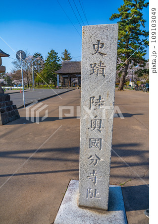 陸奥國分寺 薬師堂 宮城県仙台市 陸奥國分寺 薬師堂 宮城県仙台市 109103049
