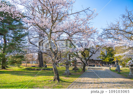 陸奥國分寺 薬師堂 宮城県仙台市 陸奥國分寺 薬師堂 宮城県仙台市 109103065