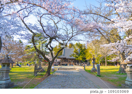 陸奥國分寺　薬師堂　宮城県仙台市 109103069