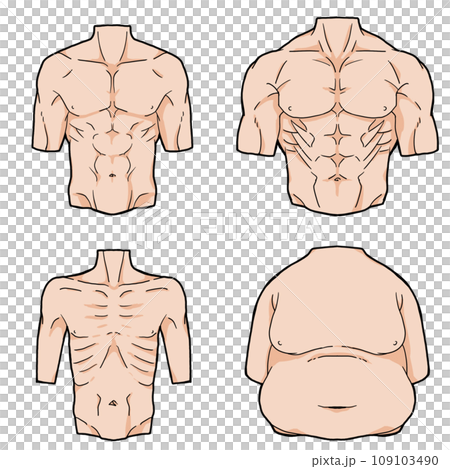 從正面看男性軀幹（有邊緣） 109103490