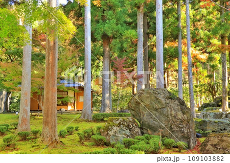 日本庭園 日本庭園 109103882