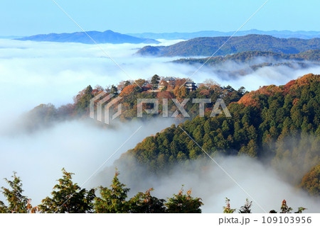 天空の山城7248- 天空の山城7248- 109103956