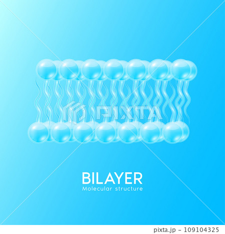 Blue molecular structure bilayer. Moisturizer collagen serum. Beauty treatment skincare. Medical scientific concepts. 3D Realistic Vector EPS10. Blue molecular structure bilayer. Moisturizer collagen serum. Beauty treatment skincare. Medical scientific concepts. 3D Realistic Vector EPS10. 109104325