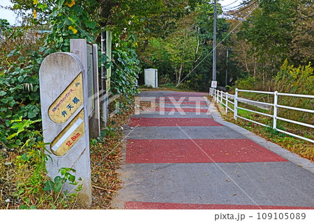 花見川サイクリングコース(上流) 花見川サイクリングコース(上流) 109105089