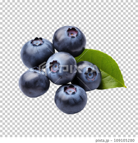 Fresh Blueberries with Green Leaves 109105280