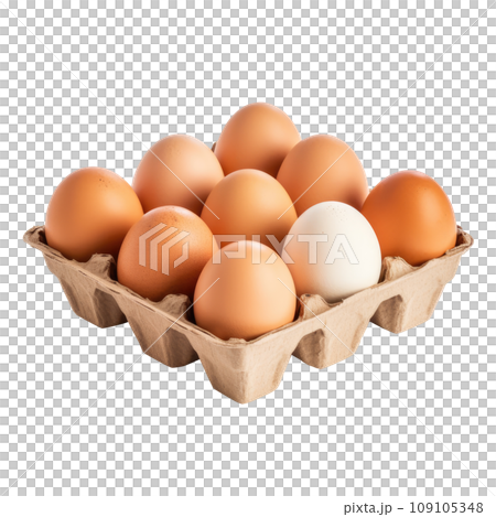 Fresh Brown Eggs in Cardboard Tray Fresh Brown Eggs in Cardboard Tray 109105348