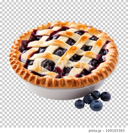 Fresh Blueberry Pie with Lattice Crust 109105365
