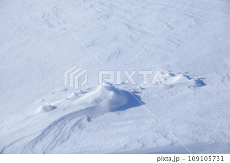 北海道　真冬の大津海岸の風雪紋 109105731