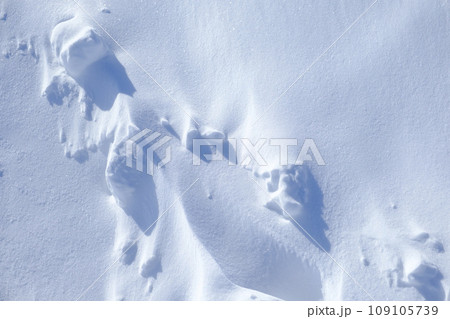 北海道 真冬の大津海岸の風雪紋 北海道 真冬の大津海岸の風雪紋 109105739