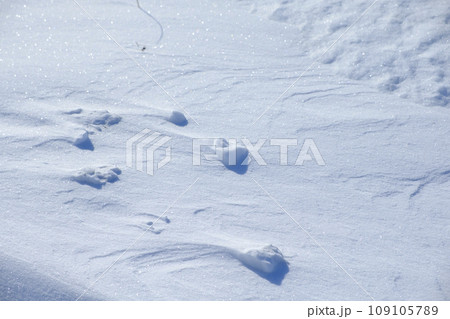 北海道 真冬の大津海岸の風雪紋 北海道 真冬の大津海岸の風雪紋 109105789