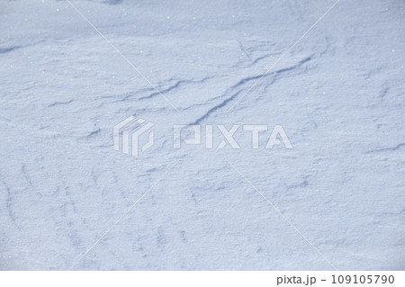 北海道 真冬の大津海岸の風雪紋 北海道 真冬の大津海岸の風雪紋 109105790