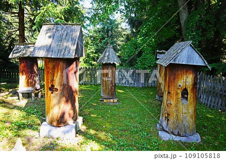 ポーランド・ザコパネ、スカンセン屋外博物館・ハチの巣 109105818