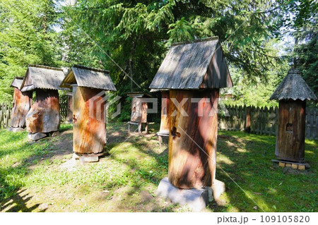 ポーランド・ザコパネ、スカンセン屋外博物館・ハチの巣 109105820