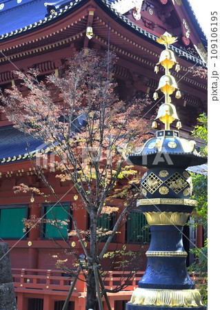 日光東照宮の建物の美は世界に誇れる建築物であり「日光を見ずして結構と言うな」そのものである。。 日光東照宮の建物の美は世界に誇れる建築物であり「日光を見ずして結構と言うな」そのものである。。 109106195