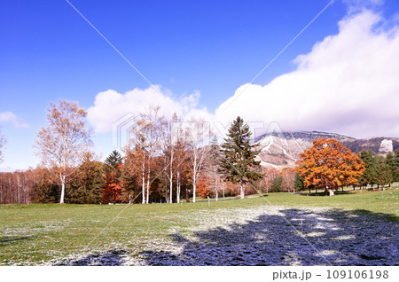 トマム紅葉と初雪 109106198