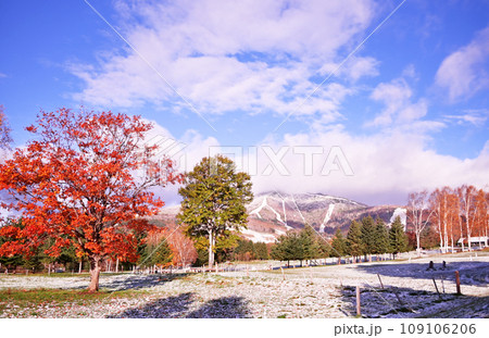 トマム紅葉と初雪 109106206