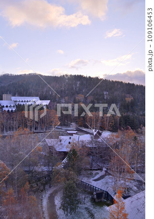 トマム紅葉と初雪 109106453