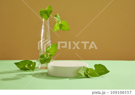 Front view of a glass bottle displayed with empty white podium. Fish mint (Houttuynia cordata) is an excellent source of natural antioxidants 109106557