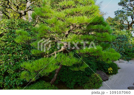 松江の茶室　明々庵 109107060