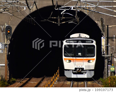 JR東海315系電車 109107173