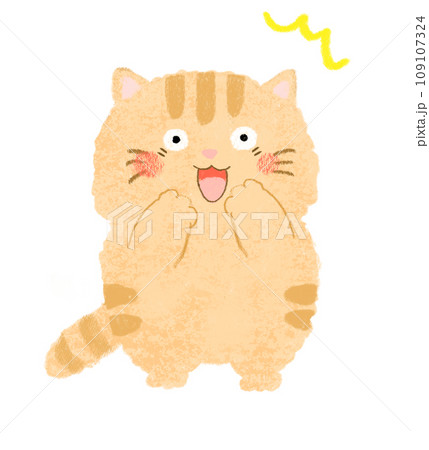 口を開けて驚いているねこ 茶トラ 口を開けて驚いているねこ 茶トラ 109107324