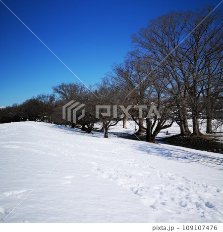 公園　冬　雪景色 109107476