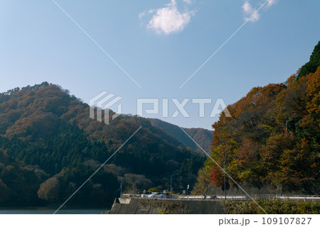 花貫ダムから見た紅葉 花貫ダムから見た紅葉 109107827