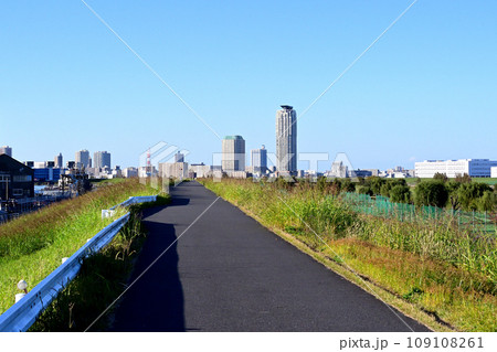 鹿浜橋際の荒川土手上から見る川口市のタワーマンション群 鹿浜橋際の荒川土手上から見る川口市のタワーマンション群 109108261